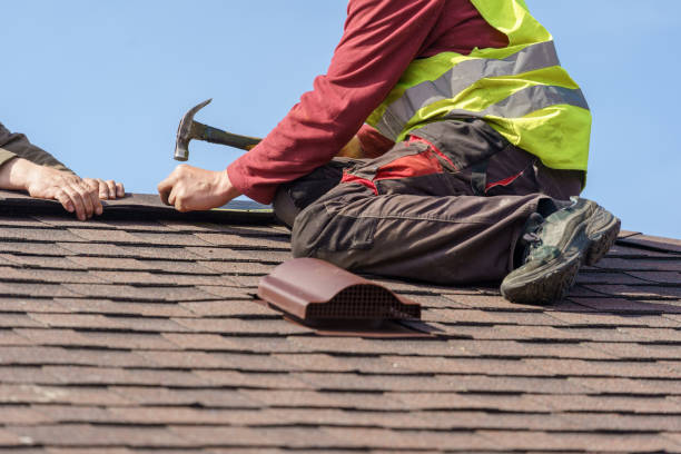 Best Roof Replacement Cost  in North Les, AK