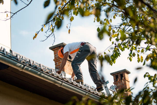 Best Roof Restoration Services  in North Les, AK