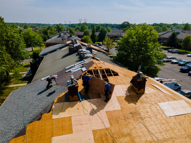 Best Roof Maintenance Services  in North Les, AK