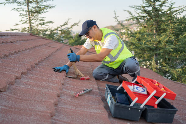 Best Roof Gutter Cleaning  in North Les, AK