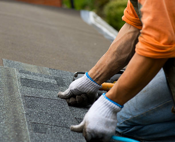 Best Roof Leak Repair  in North Les, AK