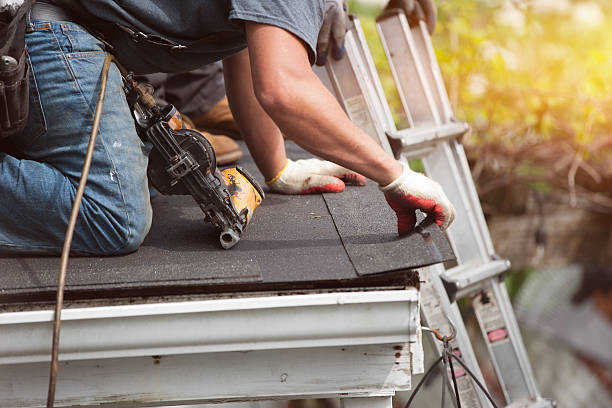 Roof Gutter Cleaning in North Lakes, AK