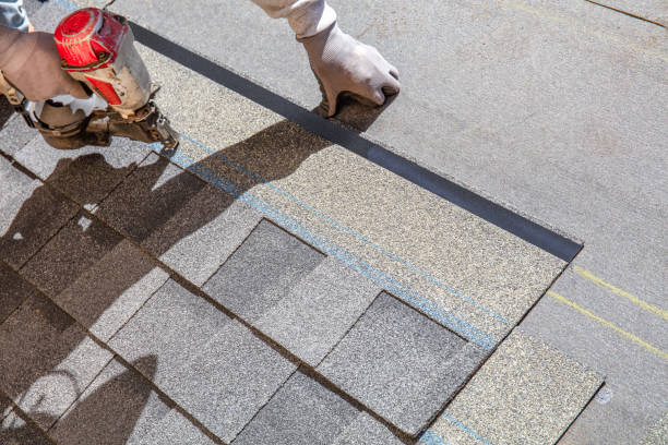 Best Local Roofing Companies  in North Les, AK