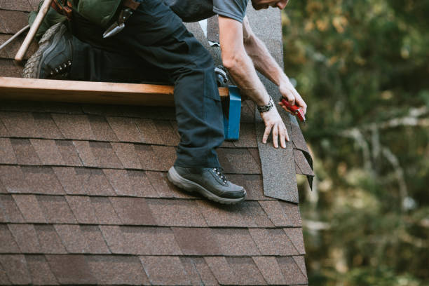 Best Roof Gutter Cleaning  in North Les, AK